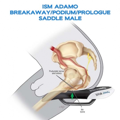 ロードバイクショップCOG'S ｜ ISM PL1.1 (Prologue) サドル