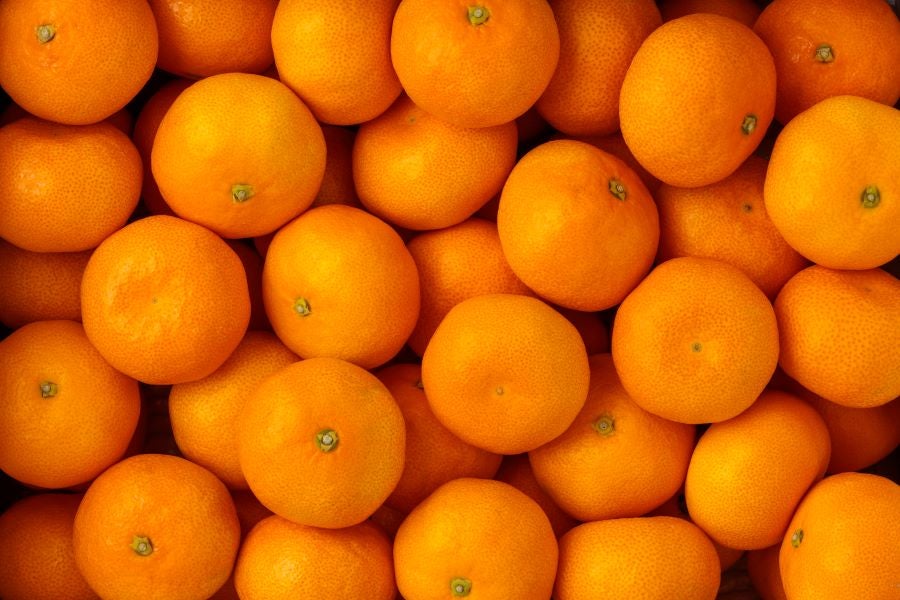 限定100箱】山北特選極みみかん 約2.5kg 12/2～12/24の間に発送: とさ