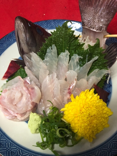 居酒屋タコ一（タコイチ）