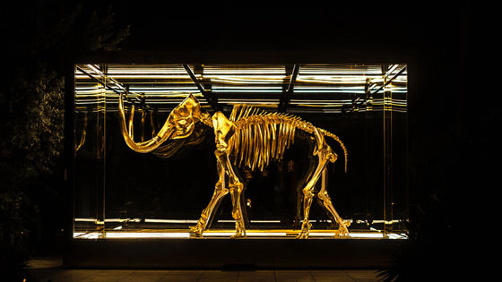 ユーラシア大陸最古のアクセサリーは「マンモスの牙」で作られていた