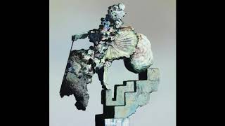 The Caretaker / Everywhere At The End Of Time - Stage 5 (2LP)