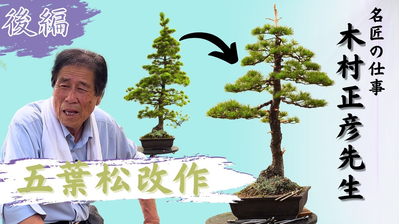 Part 2: The Work of a Master Bonsai Artist - Mr. Masahiko Kimura's