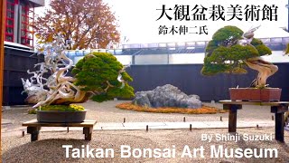 4K] Shinji Suzuki, Taikan Bonsai Museum - YouTube