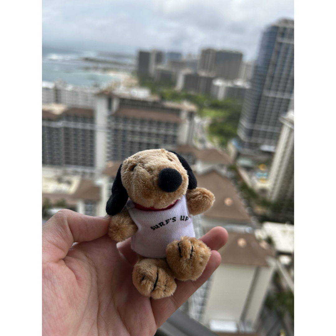 ハワイ限定】モニホノルル 日焼けスヌーピー キーホルダーの通販 by