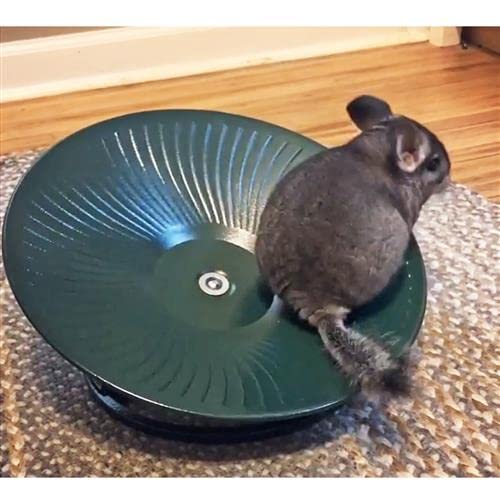 Amazon.co.jp: Exsotic トレッドミルホイール 直径36cm 床置き式の回し