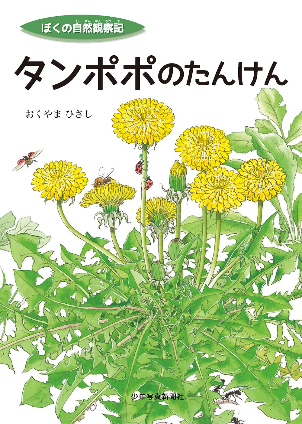 タンポポのたんけん (ぼくの自然観察記) | おくやま ひさし |本 | 通販
