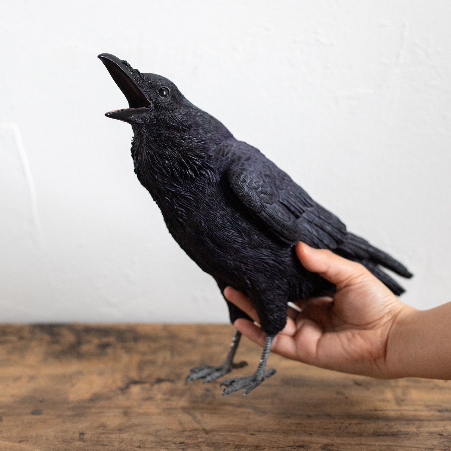 アートドール✽5ジョイント✽カラスのかーくん✽超特大サイズ アート