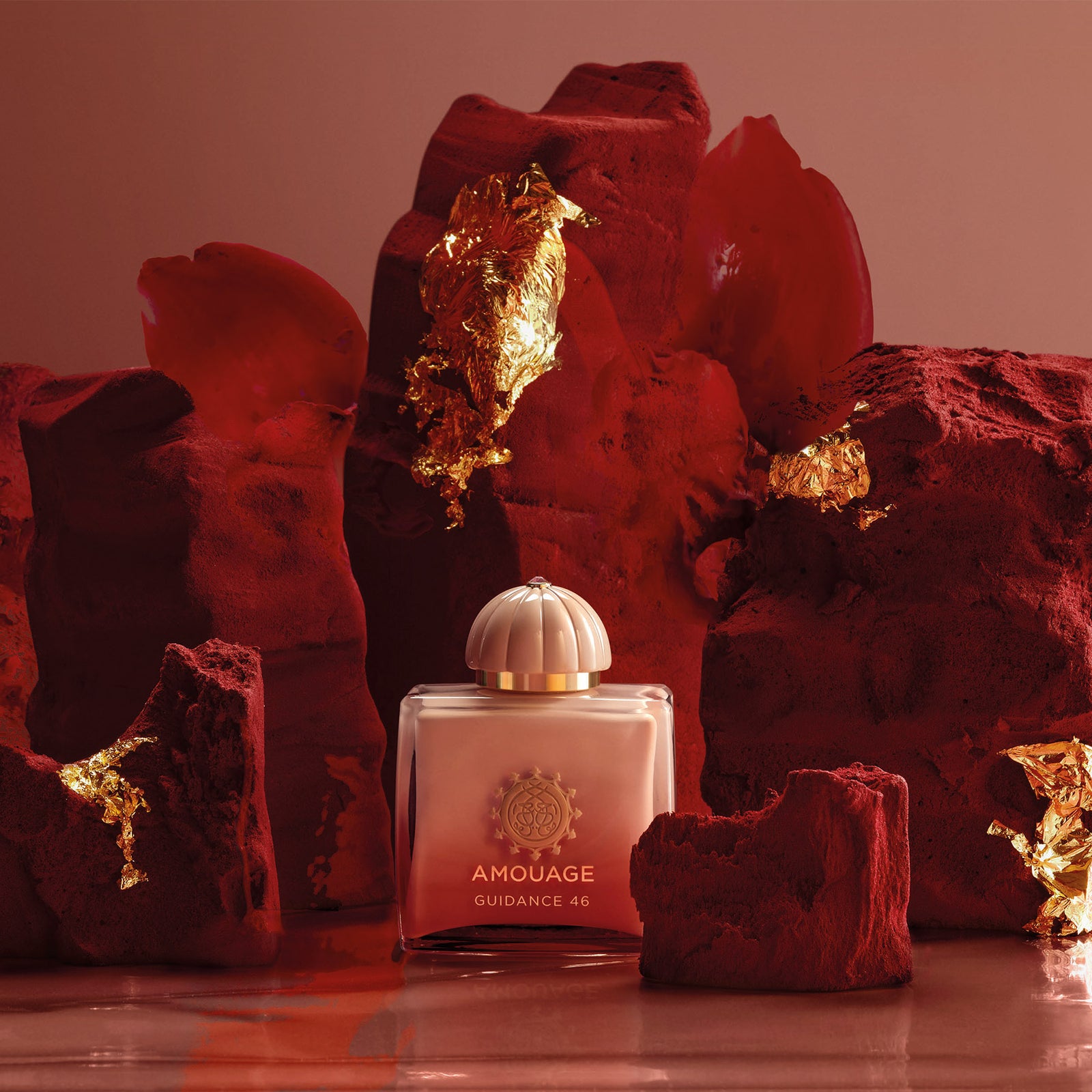 ガイダンス 46 – NOSE SHOP