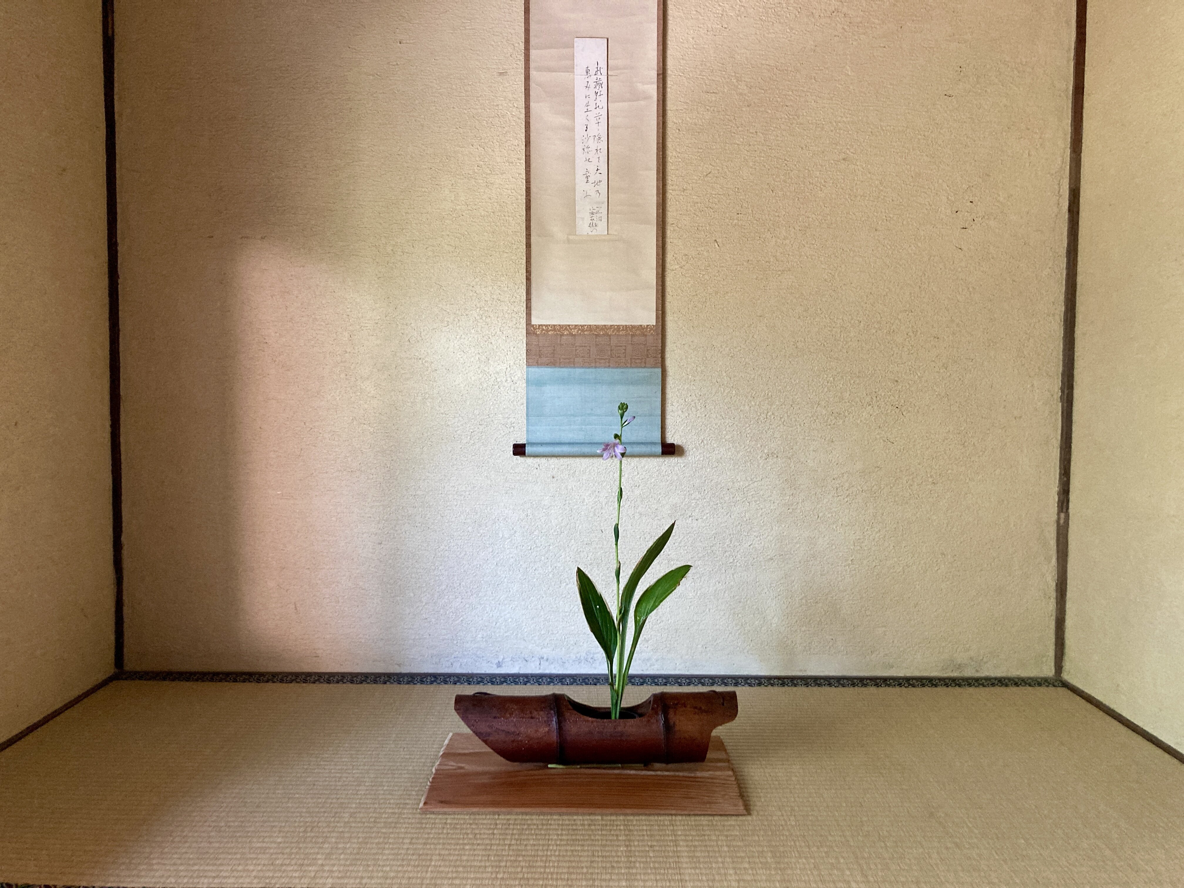 v*e様 華道具 木製 池坊 泊舟 舟形花器 2026年最新】池坊花器舟の人気