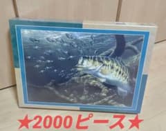 m67262102175_1.jpg?1750968142