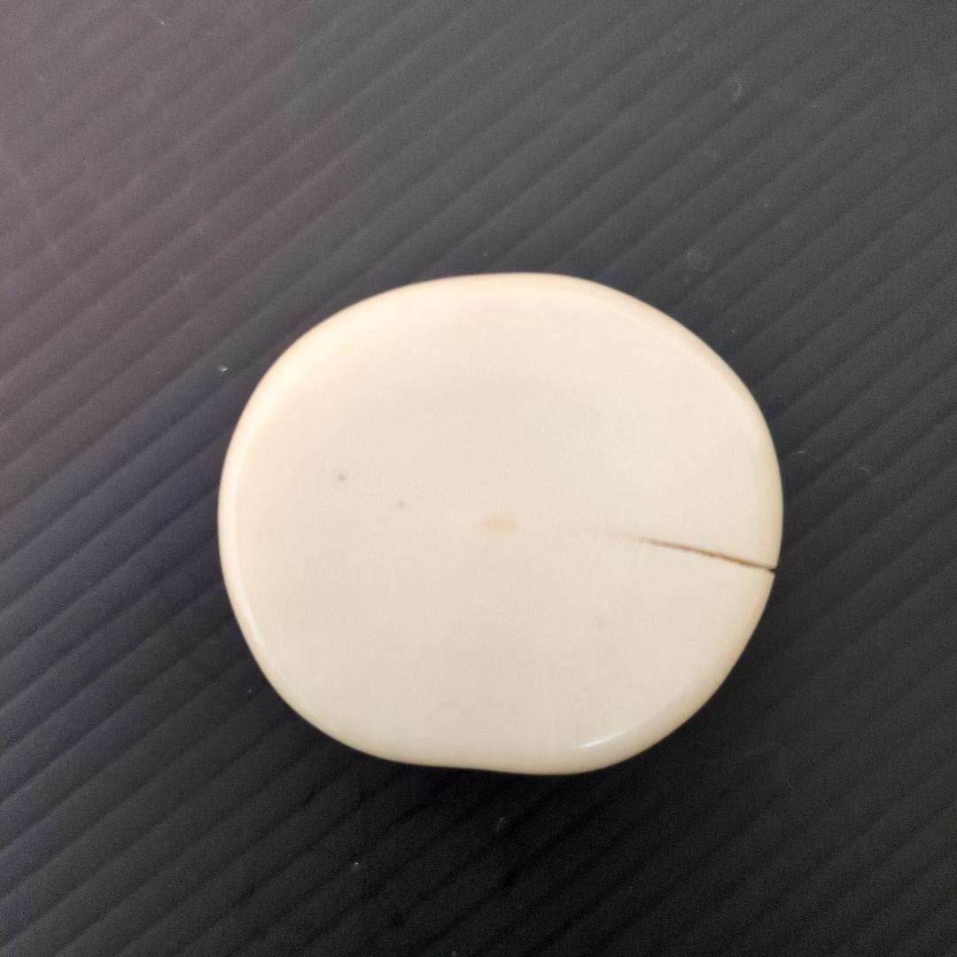 ウニコール　牙　角　輪切り　イッカク鯨歯 🔥 イッカクの牙のクローズアップ 🔥 : r/NatureIsFuckingLit